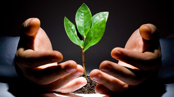 Indonesia investment: Venture rising