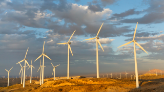 Regulation top worry for fast-growing energy companies