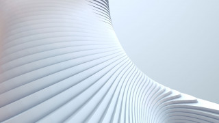 The key factors that separate fast-growing companies from their rivals