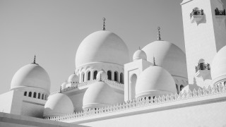 Litigation funders eyeing UAE NPL portfolios for asset recovery opportunities