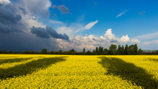 Ukraine bonds rally on government rebuttals, positive investor call following Kolomoisky’s 'default' comments